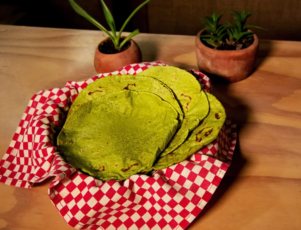 tortillas de nopal
