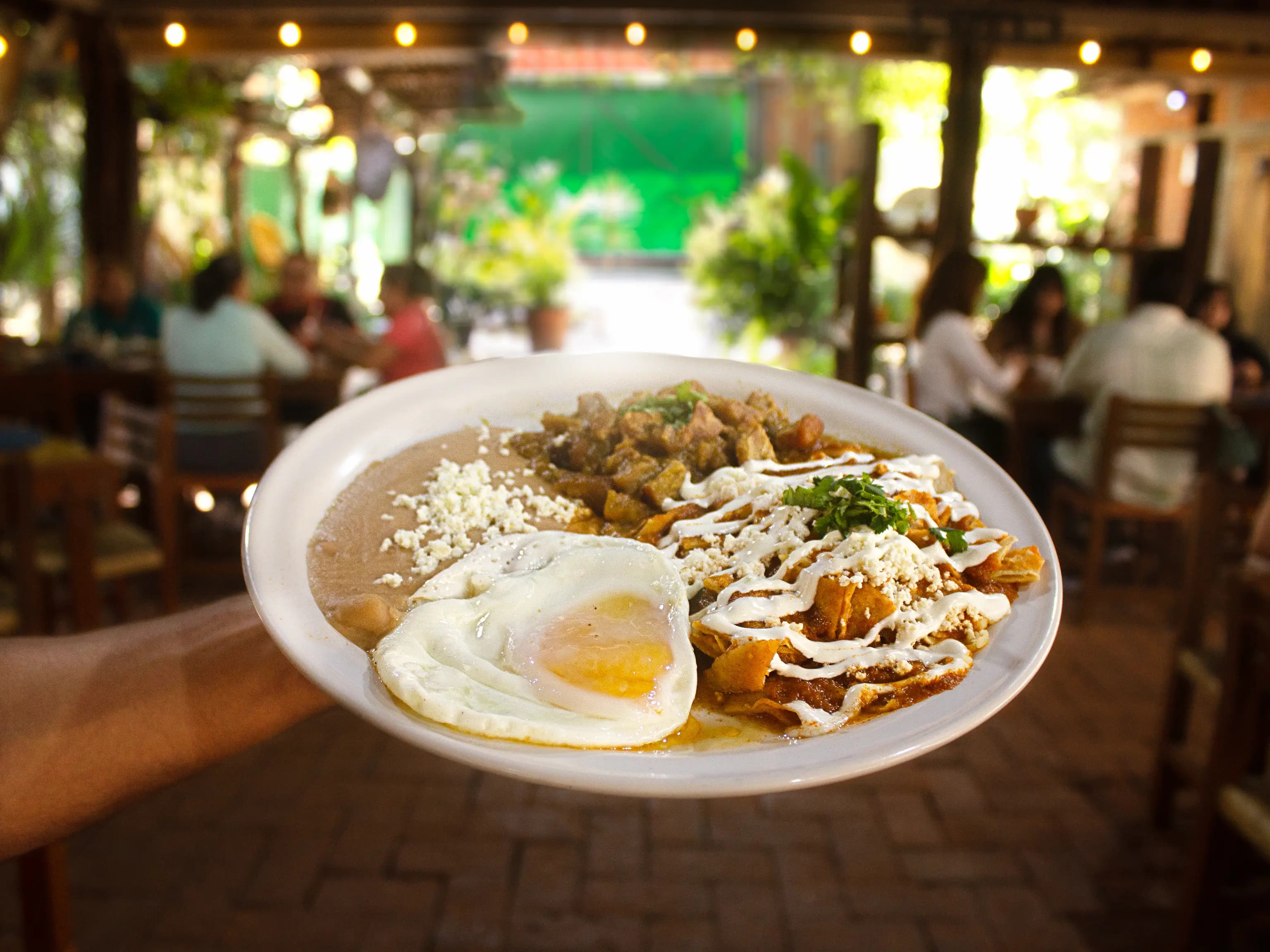 restaurante Pascola con un platillo de comida en el centro